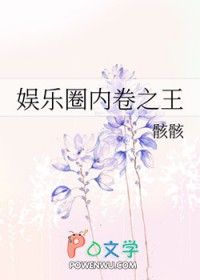 娱乐圈内早期最火的明星